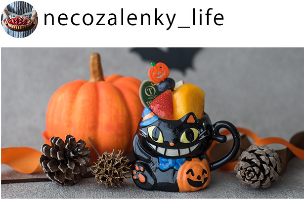 necozalenky_life