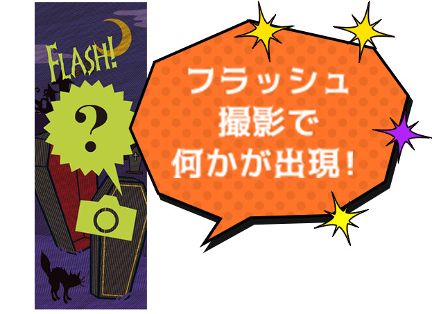 フラッシュ撮影で何かが出現！
