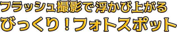 フラッシュ撮影で浮かび上がる びっくり！フォトスポット