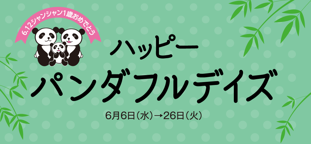 ハッピーパンダフルデイズ